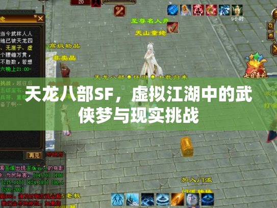 天龙八部SF，虚拟江湖中的武侠梦与现实挑战