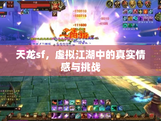 天龙sf，虚拟江湖中的真实情感与挑战