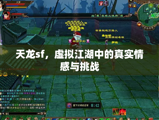 天龙sf，虚拟江湖中的真实情感与挑战