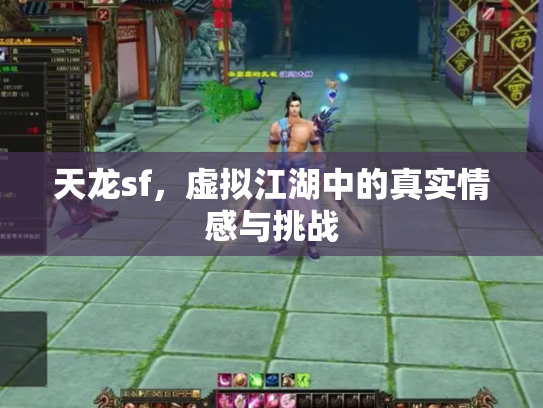 天龙sf，虚拟江湖中的真实情感与挑战