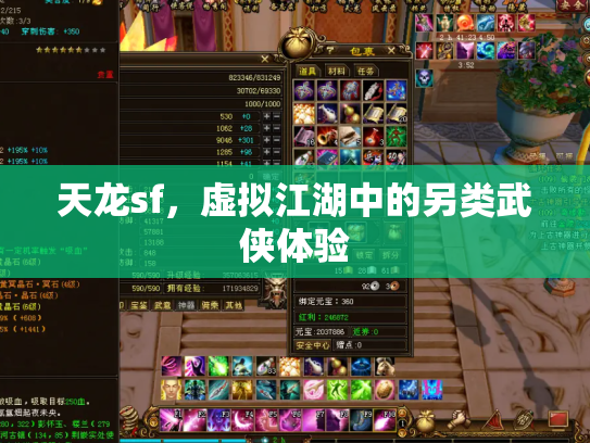 天龙sf，虚拟江湖中的另类武侠体验