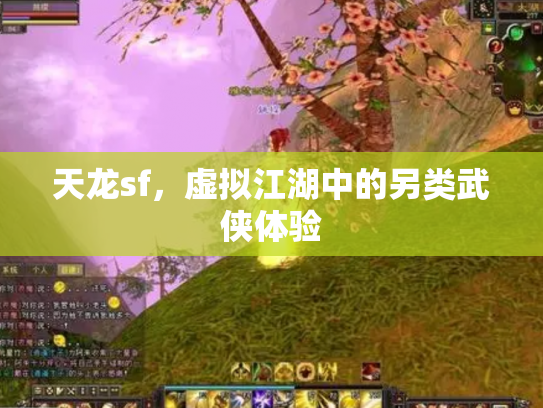 天龙sf，虚拟江湖中的另类武侠体验