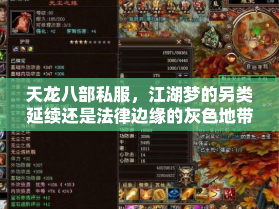 天龙八部私服，江湖梦的另类延续还是法律边缘的灰色地带？