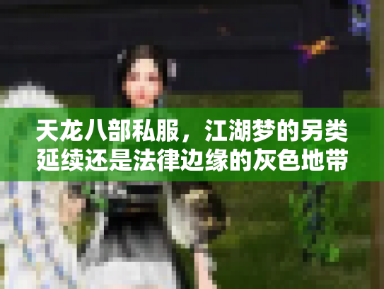 天龙八部私服，江湖梦的另类延续还是法律边缘的灰色地带？