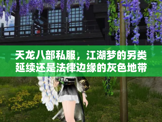 天龙八部私服，江湖梦的另类延续还是法律边缘的灰色地带？