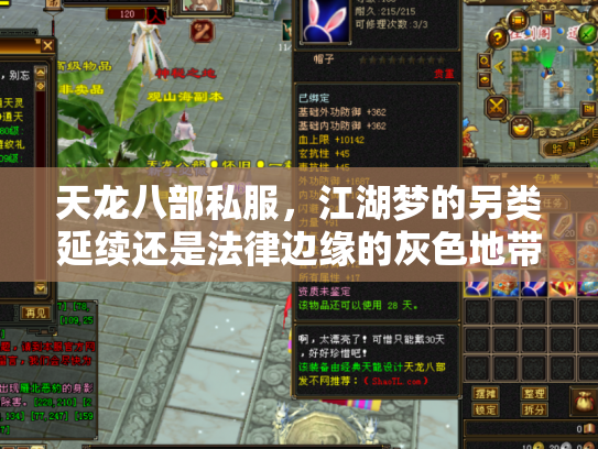 天龙八部私服，江湖梦的另类延续还是法律边缘的灰色地带？