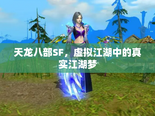 天龙八部SF，虚拟江湖中的真实江湖梦