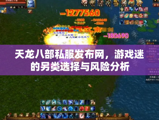 天龙八部私服发布网，游戏迷的另类选择与风险分析