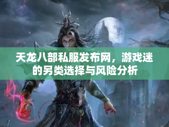 天龙八部私服发布网，游戏迷的另类选择与风险分析