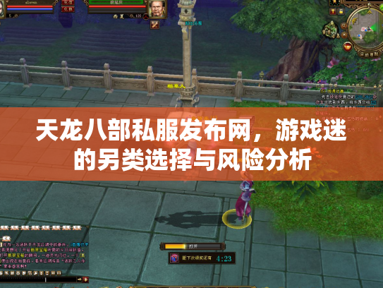 天龙八部私服发布网，游戏迷的另类选择与风险分析
