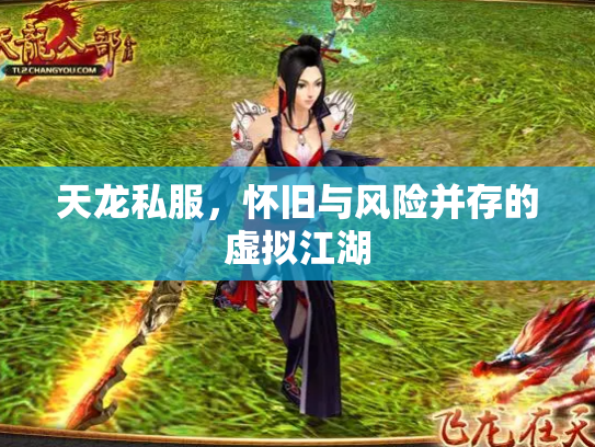 天龙私服，怀旧与风险并存的虚拟江湖
