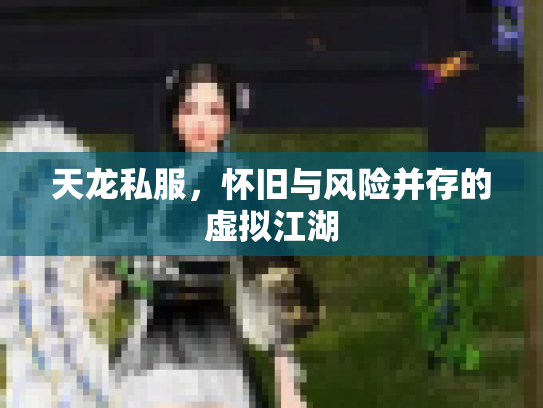 天龙私服，怀旧与风险并存的虚拟江湖