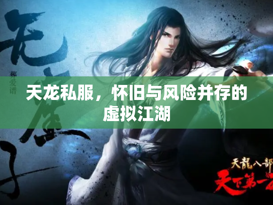 天龙私服，怀旧与风险并存的虚拟江湖