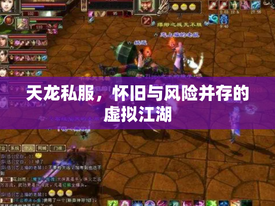 天龙私服，怀旧与风险并存的虚拟江湖
