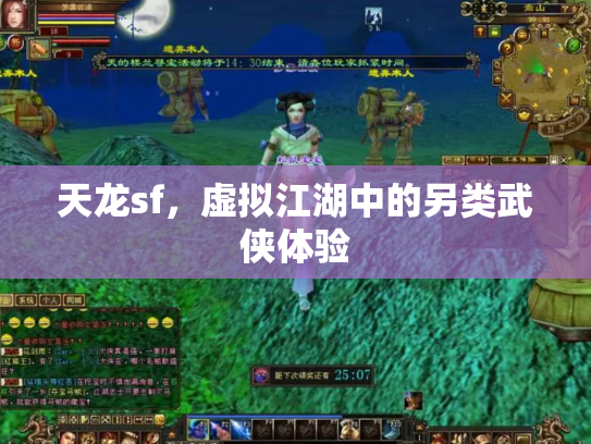 天龙sf，虚拟江湖中的另类武侠体验