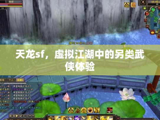 天龙sf，虚拟江湖中的另类武侠体验