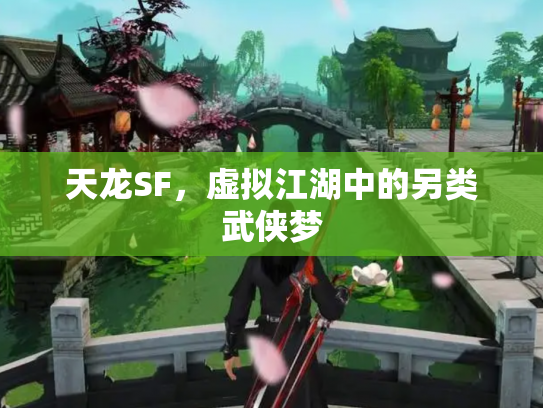 天龙SF，虚拟江湖中的另类武侠梦