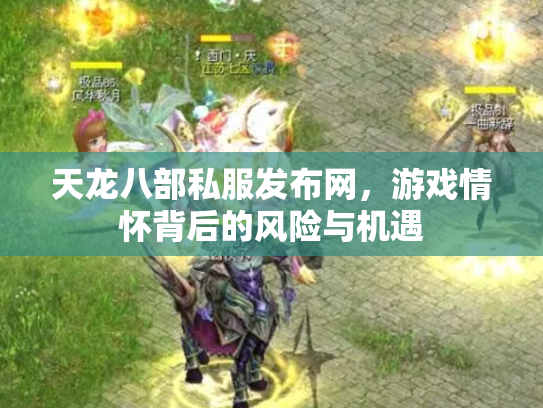 天龙八部私服发布网，游戏情怀背后的风险与机遇