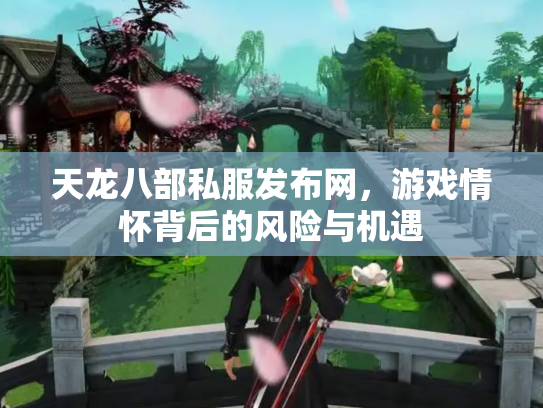天龙八部私服发布网，游戏情怀背后的风险与机遇
