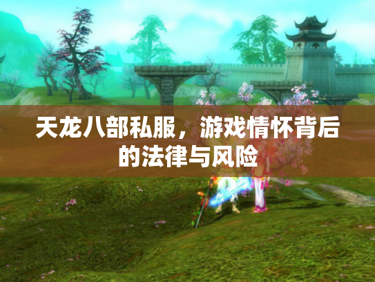 天龙八部私服，游戏情怀背后的法律与风险