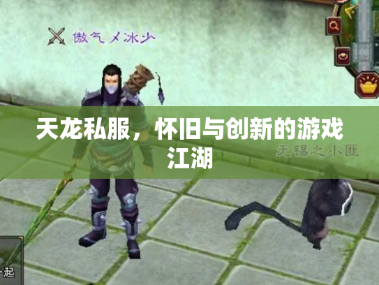 天龙私服，怀旧与创新的游戏江湖
