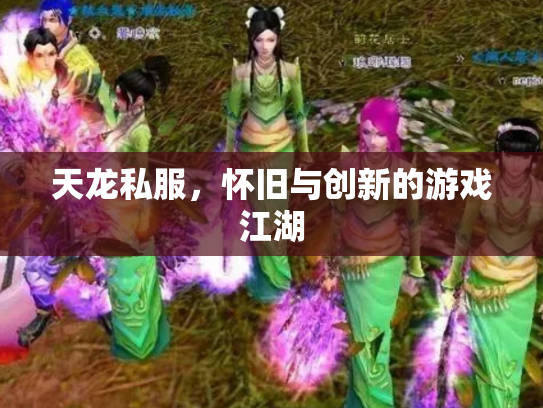 天龙私服，怀旧与创新的游戏江湖