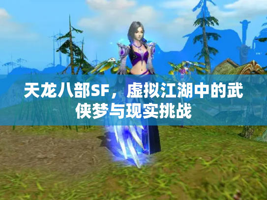 天龙八部SF，虚拟江湖中的武侠梦与现实挑战