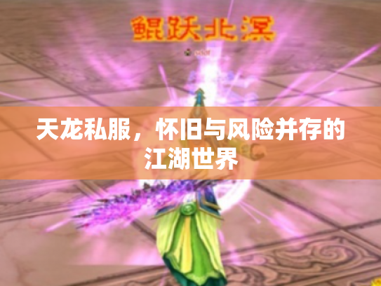 天龙私服，怀旧与风险并存的江湖世界