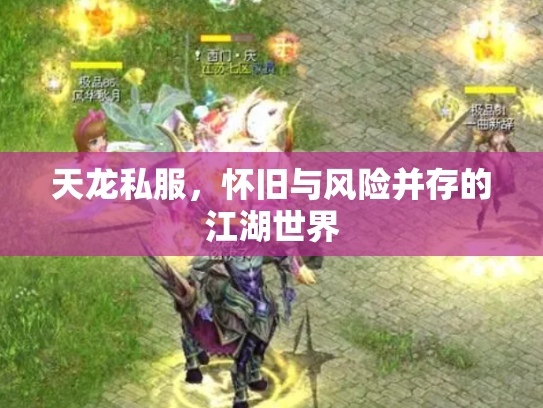 天龙私服，怀旧与风险并存的江湖世界