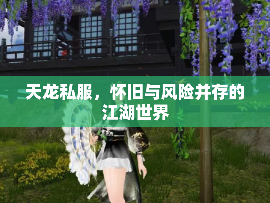 天龙私服，怀旧与风险并存的江湖世界