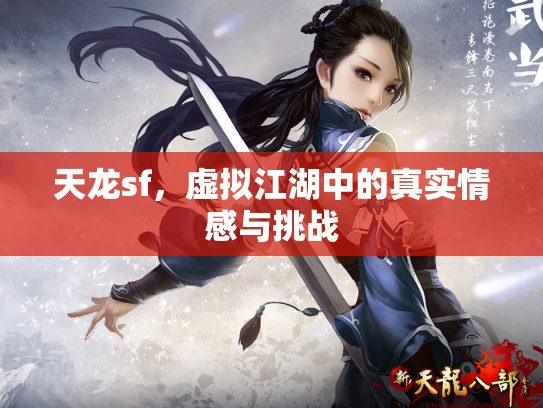 天龙sf，虚拟江湖中的真实情感与挑战