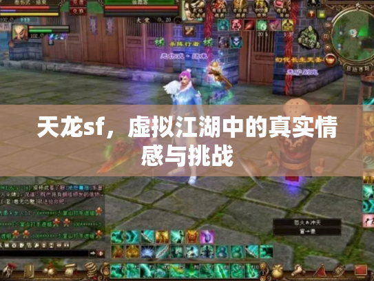 天龙sf，虚拟江湖中的真实情感与挑战