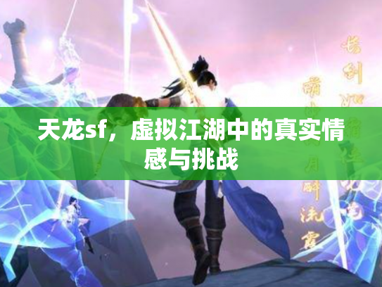 天龙sf，虚拟江湖中的真实情感与挑战