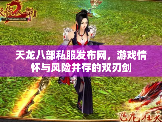 天龙八部私服发布网，游戏情怀与风险并存的双刃剑