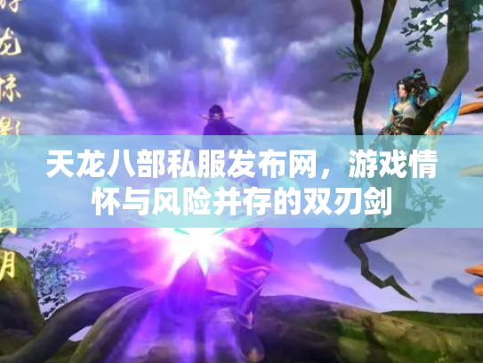 天龙八部私服发布网，游戏情怀与风险并存的双刃剑