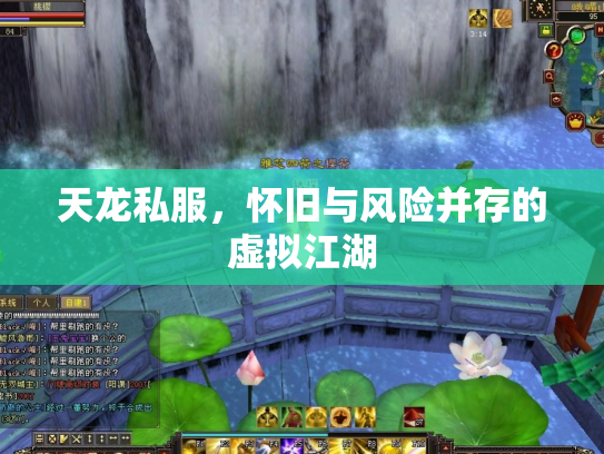 天龙私服，怀旧与风险并存的虚拟江湖