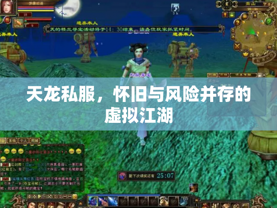 天龙私服，怀旧与风险并存的虚拟江湖