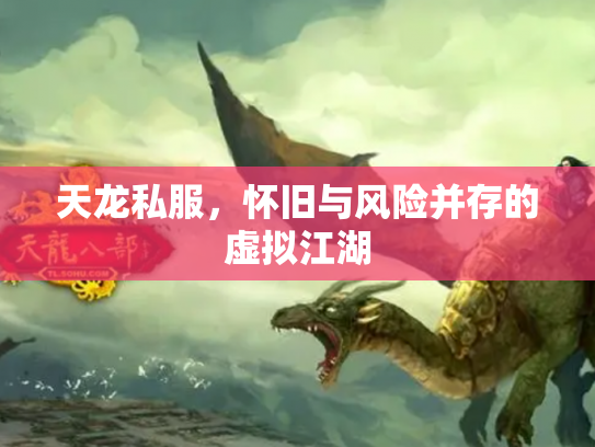 天龙私服，怀旧与风险并存的虚拟江湖