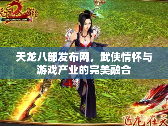 天龙八部发布网，武侠情怀与游戏产业的完美融合