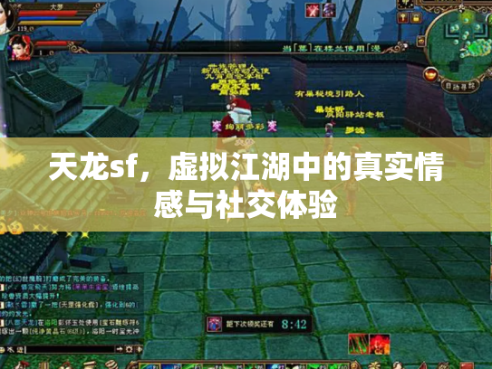 天龙sf，虚拟江湖中的真实情感与社交体验