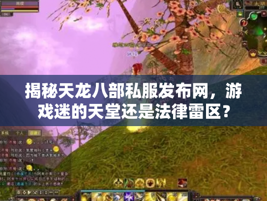 揭秘天龙八部私服发布网，游戏迷的天堂还是法律雷区？