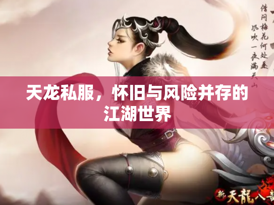 天龙私服，怀旧与风险并存的江湖世界