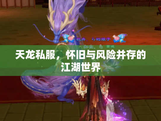 天龙私服，怀旧与风险并存的江湖世界