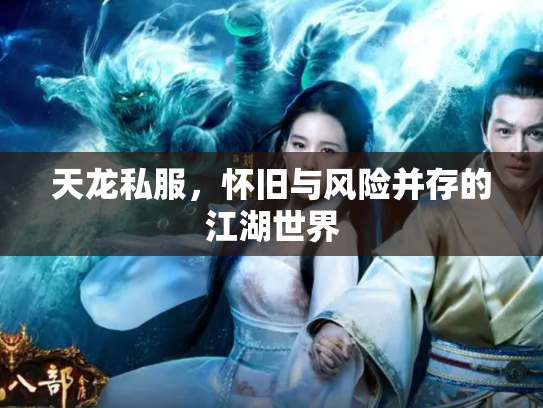 天龙私服，怀旧与风险并存的江湖世界