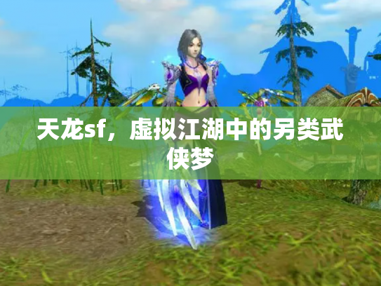 天龙sf，虚拟江湖中的另类武侠梦