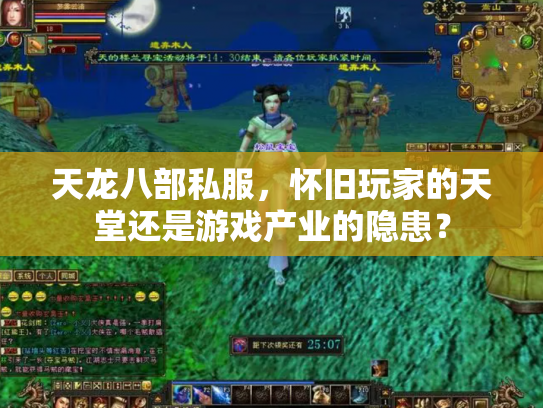 天龙八部私服，怀旧玩家的天堂还是游戏产业的隐患？