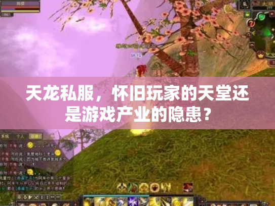 天龙私服，怀旧玩家的天堂还是游戏产业的隐患？