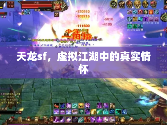 天龙sf，虚拟江湖中的真实情怀