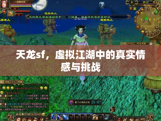 天龙sf，虚拟江湖中的真实情感与挑战