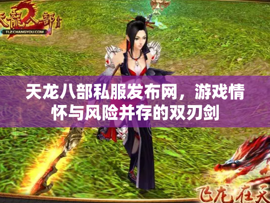 天龙八部私服发布网，游戏情怀与风险并存的双刃剑